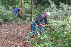 Jaarlijks beheer en onderhoud van de houtsingel 