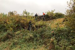 Jaarlijks beheer en onderhoud van de houtsingel