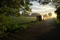 Zonsopkomst bij het Oosinkbos