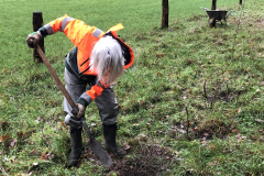 Plantwerk struweelzone