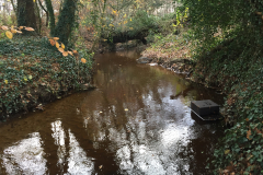 De Oossink/Bemersbeek bij Kotten