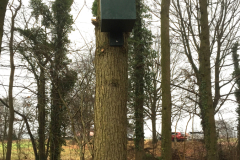 Bosuilenkast in t beekbegeleidende bos Oossink/Bemersbeek