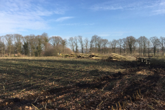 2017 Na de ruilverkaveling: herstel van een sterk verwaarloosde hout singel