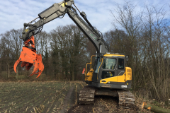 2017 Na de ruilverkaveling: herstel van een sterk verwaarloosde hout singel