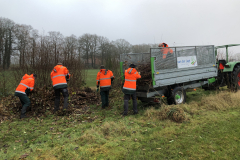 Afvoeren van het takhout