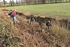 2018 Herstel- en plantwerkzaamheden aan de houtsingel