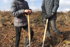 2018  Leerlingen groep 8 van de Meester Meinen school helpen mee met planten