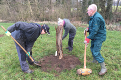 Plaatsen van de afrastering 