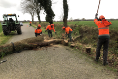 Verwijderen risicobomen en -takken langs de Esinkweg, Kotten