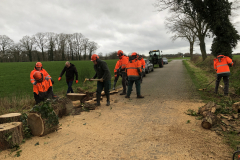 Verwijderen risicobomen en -takken langs de Esinkweg, Kotten