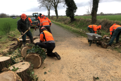 Verwijderen risicobomen en -takken langs de Esinkweg, Kotten