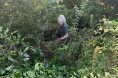 Onderhoudswerk aan de houtsingel. Terrein Oossinkbos