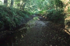 De Oossink/Bemersbeek bij Kotten