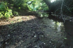 De Oossink/Bemersbeek bij Kotten