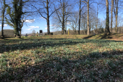 Voorjaar op de Ruitenburgerschans