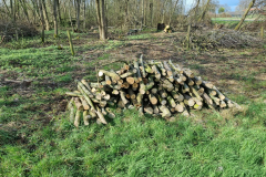 Afzetten singel vochtig hakhout