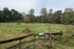 SINUS grasland beheer