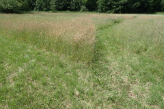 SINUS grasland beheer