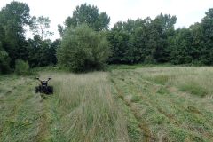 SINUS grasland beheer