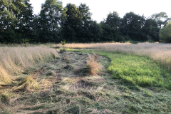 SINUS grasland beheer