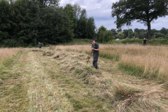 Maaisel wordt op kidden geharkt