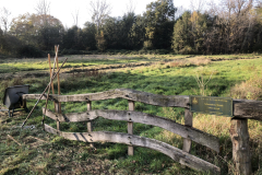 Schreuders weide