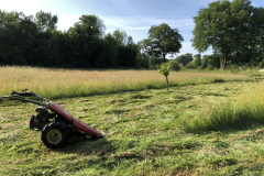 SINUS grasland beheer