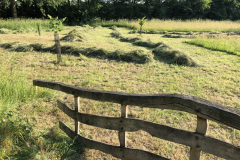 SINUS grasland beheer, het gras ligt op kidden