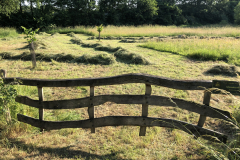SINUS grasland beheer, het gras ligt op kidden