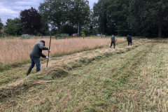 Maaisel wordt op kidden geharkt