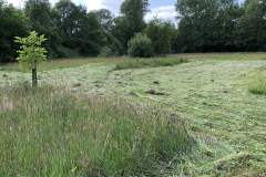 SINUS graslandbeheer