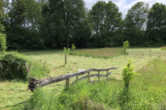 SINUS graslandbeheer