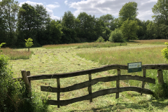 SINUS graslandbeheer