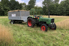 Afvoeren maaisel met onze Fendt en kipper 
