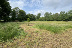 SINUS grasland beheer