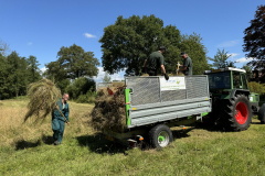Verschraling, afvoeren maaisel