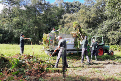 Sieverinkses: onderhoud aan de houtsingel