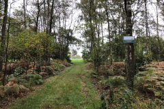 Sieverinksbos, toegangspad naar de akker