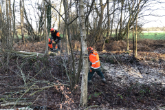 Beheer van de houtsingel