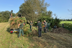 Afvoeren van het maaisel 