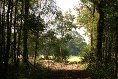 Tichelmansbos, doorkijkje vanaf de Semmeltjesdijk