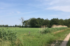 Tichelmansbos, panorama vanaf de Semmeltjesdijk