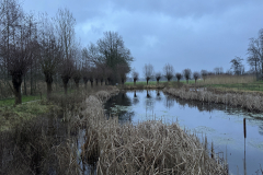 Terrein D'n Leeg'n Könningsstool Zieuwent
