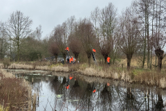 Wilgen knotten D'n Leeg'n Könningsstool Zieuwent