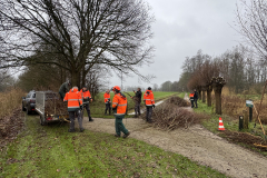 Wilgen knotten D'n Leeg'n Könningsstool Zieuwent