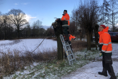 Wilgen knotten D'n Leeg'n Könningsstool Zieuwent