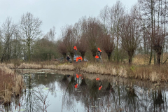 Wilgen knotten D'n Leeg'n Könningsstool Zieuwent
